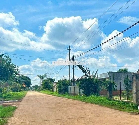 Trục nhựa chính tại Dray bhang- Cư kuin- Daklak