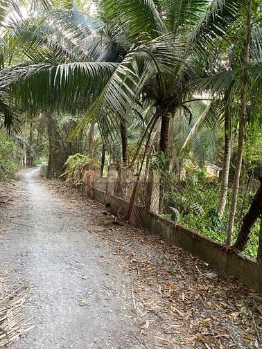 Bán đất xã Tân Nhựt, huyện Bình Chánh, tổng 1432m2