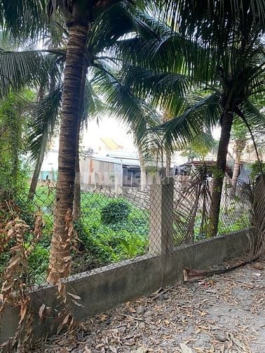 Bán đất xã Tân Nhựt, huyện Bình Chánh, tổng 1432m2