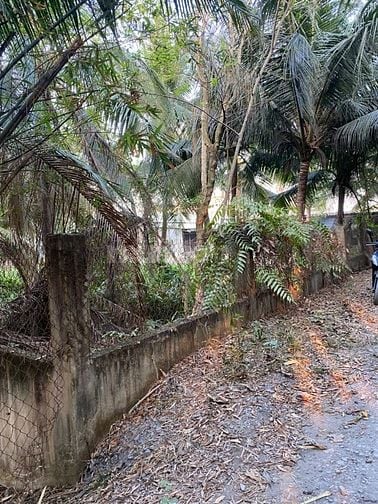 Bán đất xã Tân Nhựt, huyện Bình Chánh, tổng 1432m2