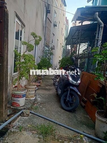 SIÊU PHẨM  BÁN ĐẤT PHỐ TU HOÀNG 100M2 MẶT TIỀN 12M SỔ   ĐỎ GIÁ 11 TỶ