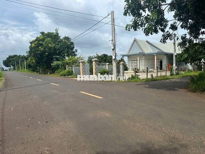 Đường Nhựa tại Đá Bạc- Châu Đức- Bà rịa Vũng tàu ( TPHCM)