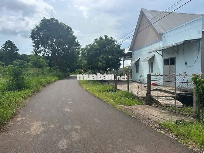 Đường Nhựa tại Đá Bạc- Châu Đức- Bà rịa Vũng tàu ( TPHCM)