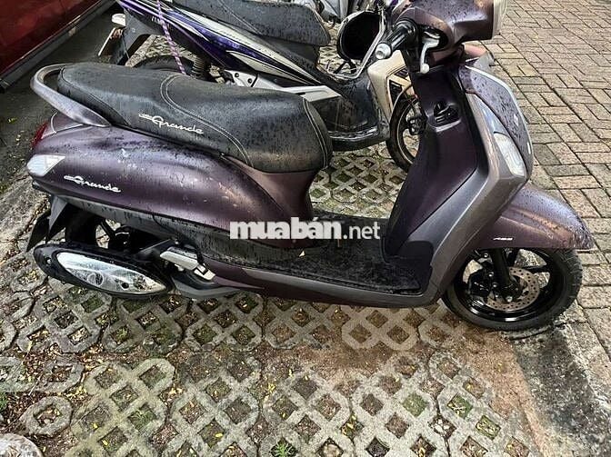 Nhà dư cần bán bớt xe grande còn mới cáo đời cao
