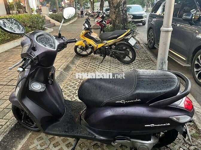 Nhà dư cần bán bớt xe grande còn mới cáo đời cao