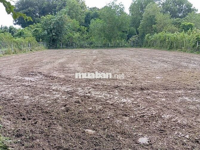 CHÍNH CHỦ - cần bán 1273m2 xã Tân An Hội - Củ Chi, đường 12m, mt 21m