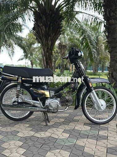 Honda Dream Thái 1996 Dọn Kiểng Máy Bao Êm Chất