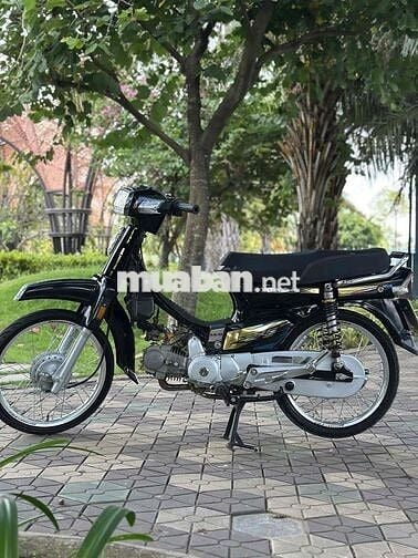 Honda Dream Thái 1996 Dọn Kiểng Máy Bao Êm Chất