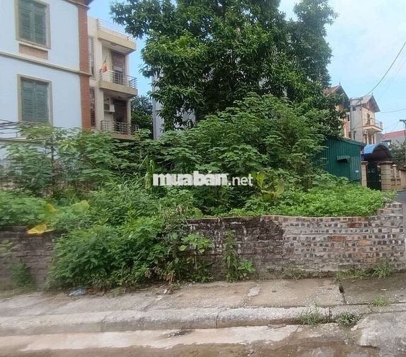 BÁN ĐẤT HẢI BỐI GẦN VIEW SÔNG 55M, HÀNG XÓM THÀNH PHỐ THÔNG MINH