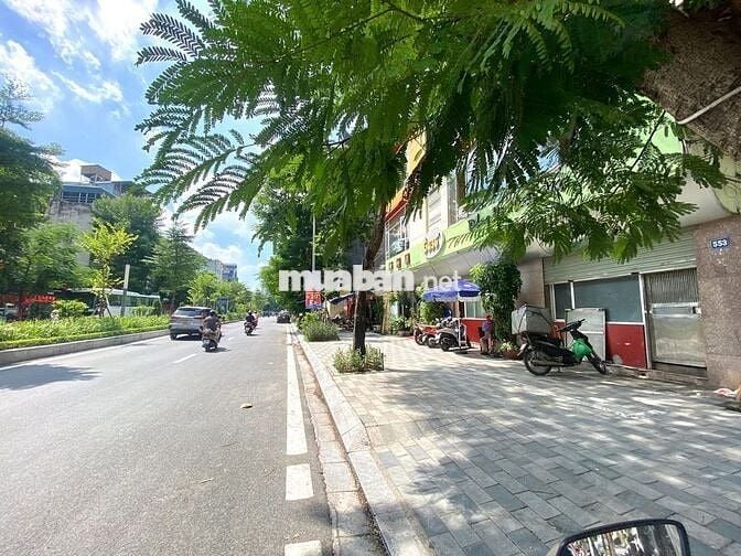 Đất mặt phố Lạc Long Quân, sát Hồ Tây, bán gấp giá đtu chỉ 393 trệu/m2
