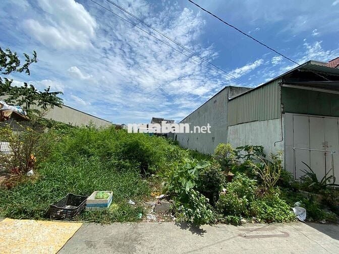 Chính chủ cần bán 8x35, 240m2 đã chuyển đất ở, bờ Xe Lam, Bình Chánh