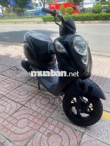 ELITE 50 cần bán