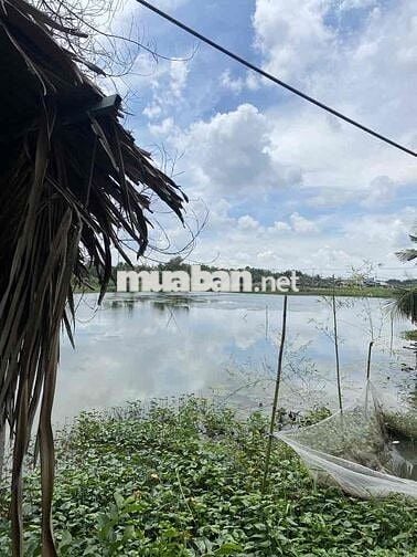 BÁN ĐẤT NÔNG NGHIỆP ĐƯỜNG NGUYỄN BÌNH - NHÀ BÈ- DT: 4502M2- GIÁ 10,9ty