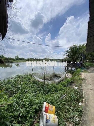 BÁN ĐẤT NÔNG NGHIỆP ĐƯỜNG NGUYỄN BÌNH - NHÀ BÈ- DT: 4502M2- GIÁ 10,9ty