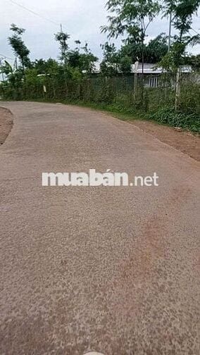 Đất sổ Hồng 1000.4 m2, Xuân Phú, Đồng Nai (Giá thương lượng)