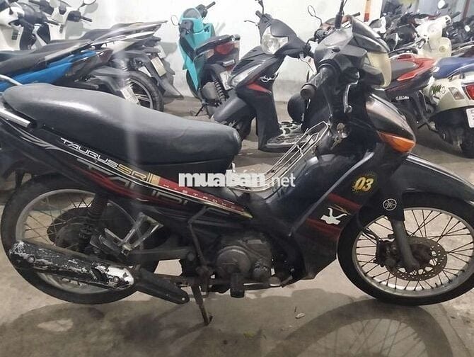 yamaha taurus Nhật máy êm . BSTP