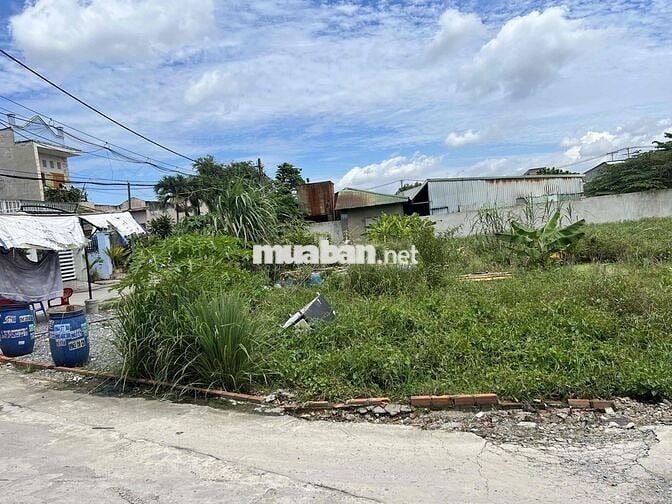 ĐẤT THỔ NGANG 10m GIÁ 3,7 TỶ HXH BÙI CÔNG TRỪNG MTKD SÁT LÊ VĂN KHƯƠNG
