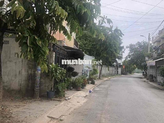 MT ĐƯỜNG 8M, THỚI TAM THÔN, HÓC MÔN, VỊ TRÍ NGON, ĐẸP DT 220m2 (7x31)