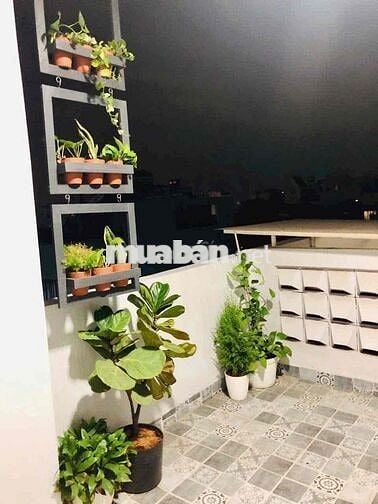 Cho thuê nhà nguyên căn FULL NT,  đường nguyễn văn lượng, p17, Gò Vấp