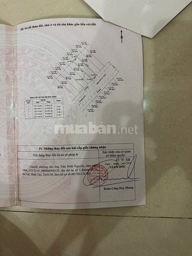 BÁN ĐẤT KHU DÂN CƯ CÁT LÁI 50HA, PHƯỜNG CÁT LÁI, QUẬN 2 CŨ