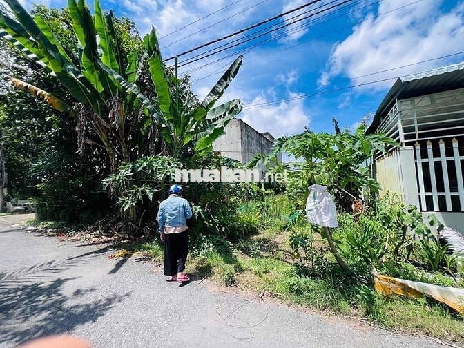 Bán 400m2 mặt tiền nhựa phường Mỹ Phong