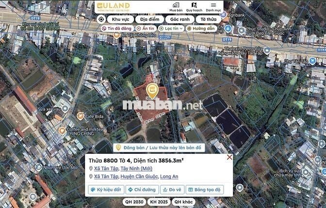 Đất mặt tiền đường 826D ( Tân Tập Long Hậu)