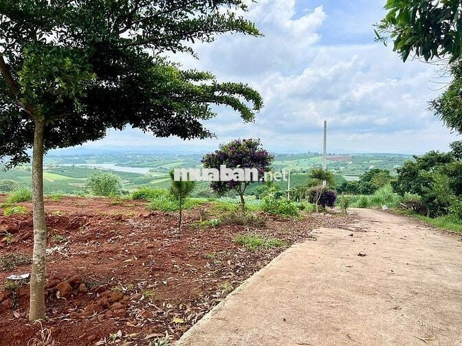 View hồ Phúc Thọ- Lâm Hà- Lâm Đồng