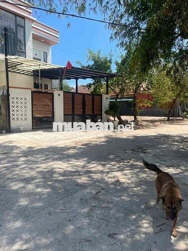 🏡 BÁN ĐẤT KIỆT 7M – NGUYỄN VĂN SIÊU, TP. ĐỒNG HỚI – VỊ TRÍ ĐẸP GIÁ RẺ