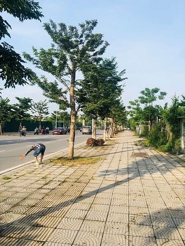 Cho thuê đất để kinh doanh buôn bán