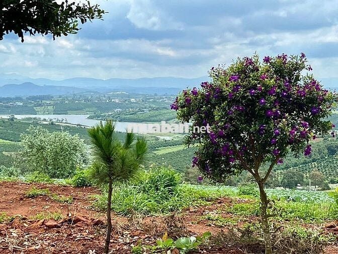 View hồ Phúc Thọ- Lâm Hà- Lâm Đồng