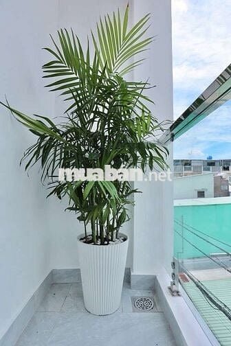 Nhà Kênh Nước Đen mới, hẻm thông, 3 Tầng, 2 PN, Gần Aeon Tân Phú