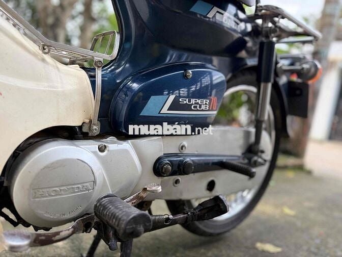 xe cup 86 đẹp