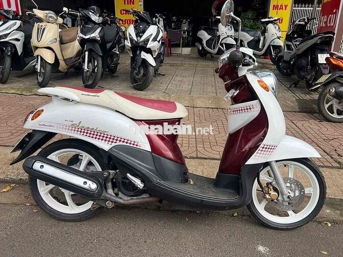 mio classsico đẹp leng keng