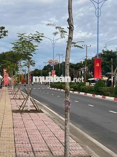 BÁN BIỆT THỰ ĐƠN LẬP TRUNG TÂM THỊ TRẤN CẦN THẠNH CẦN GIỜ TPCHM