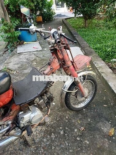 Md chở hàng 100cc