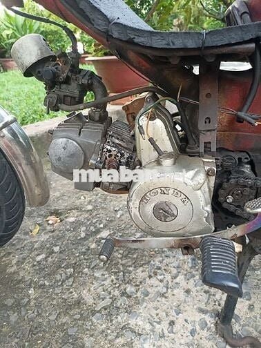 Md chở hàng 100cc