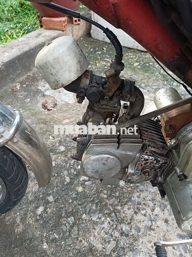 Md chở hàng 100cc