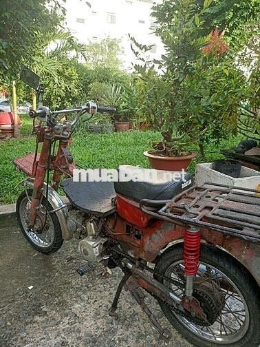 Md chở hàng 100cc