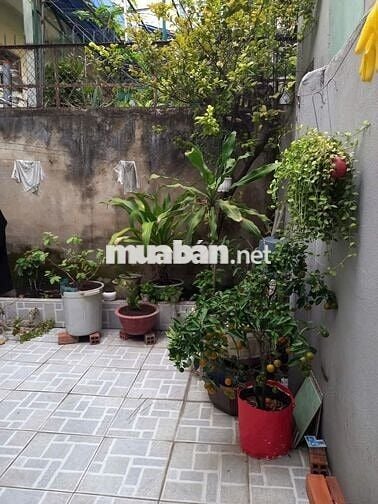 Nhà chính chủ Nguyễn Văn Đậu, Bình Thạnh – 84m², hẻm rộng, trung tâm!
