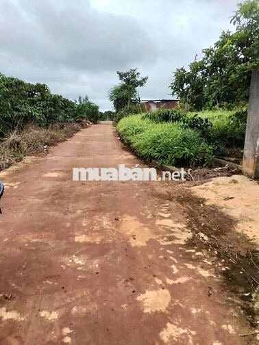Bán 9000m2 đất cà phê thu hoạch - có thổ cư sổ hồng - Gia Lâm, Lâm Hà