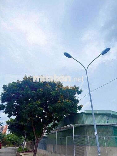 Cho Thuê Nhà Làm Kho / Xưởng Đường Đặng Thùy Trâm, Bình Thạnh (7x23m)