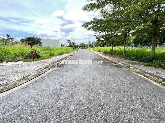 ĐẤT GIÁ NGỘP ĐẦU TƯ BAO LỜI 114m2 Giá 490TR Ở TÂN PHÚ TRUNG CỦ CHI SHR