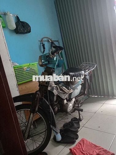 Cúp 50 có đề
