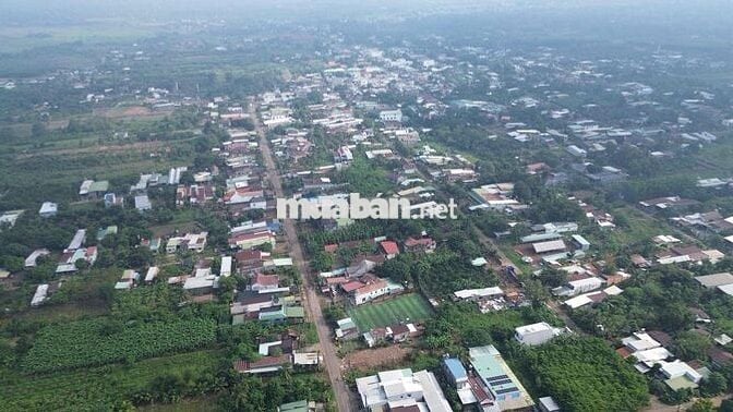 Thanh toán 260 triệu sỡ hữu ngay lô đất Tại SÔNG THAO