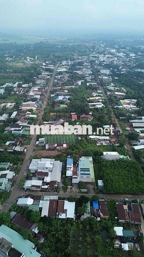 Thanh toán 260 triệu sỡ hữu ngay lô đất Tại SÔNG THAO