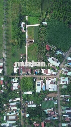 Thanh toán 260 triệu sỡ hữu ngay lô đất Tại SÔNG THAO