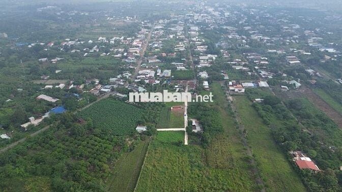 Thanh toán 260 triệu sỡ hữu ngay lô đất Tại SÔNG THAO