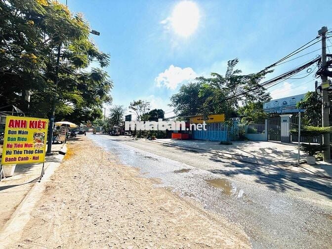 Bán đất đường Tân Liêm, xã Bình Hưng, TP.HCM_1.100m2_40tr/m2