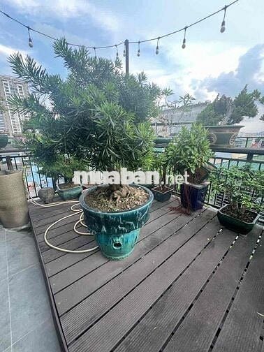 🏡 Bán nhà phân lô Phạm Ngọc Thạch - Ngay Gần Ô Tô Tránh - 40M - Thang