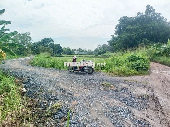 BÁN ĐẤT NÔNG NGHIỆP 871M² – ĐÔNG THẠNH, HÓC MÔN - GIÁ NHỈNH HƠN 4.2 TỶ